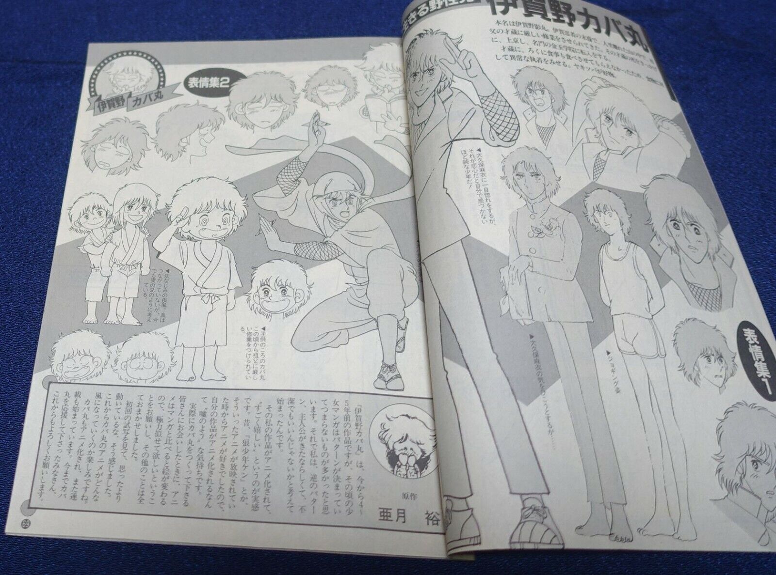 Cut Out Setting Art Article Igano Kabamaru 