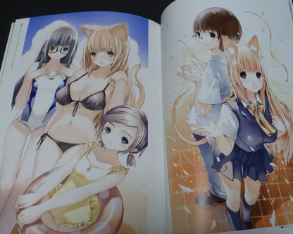 Houden Eizou Asobini Ikuyo! Asabi ni iku yo ! Art Work Book 