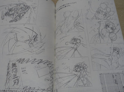 Aminendo Senki Zesshou Symphogear Key Frame Art Collection Book Hanyu Rough 03 