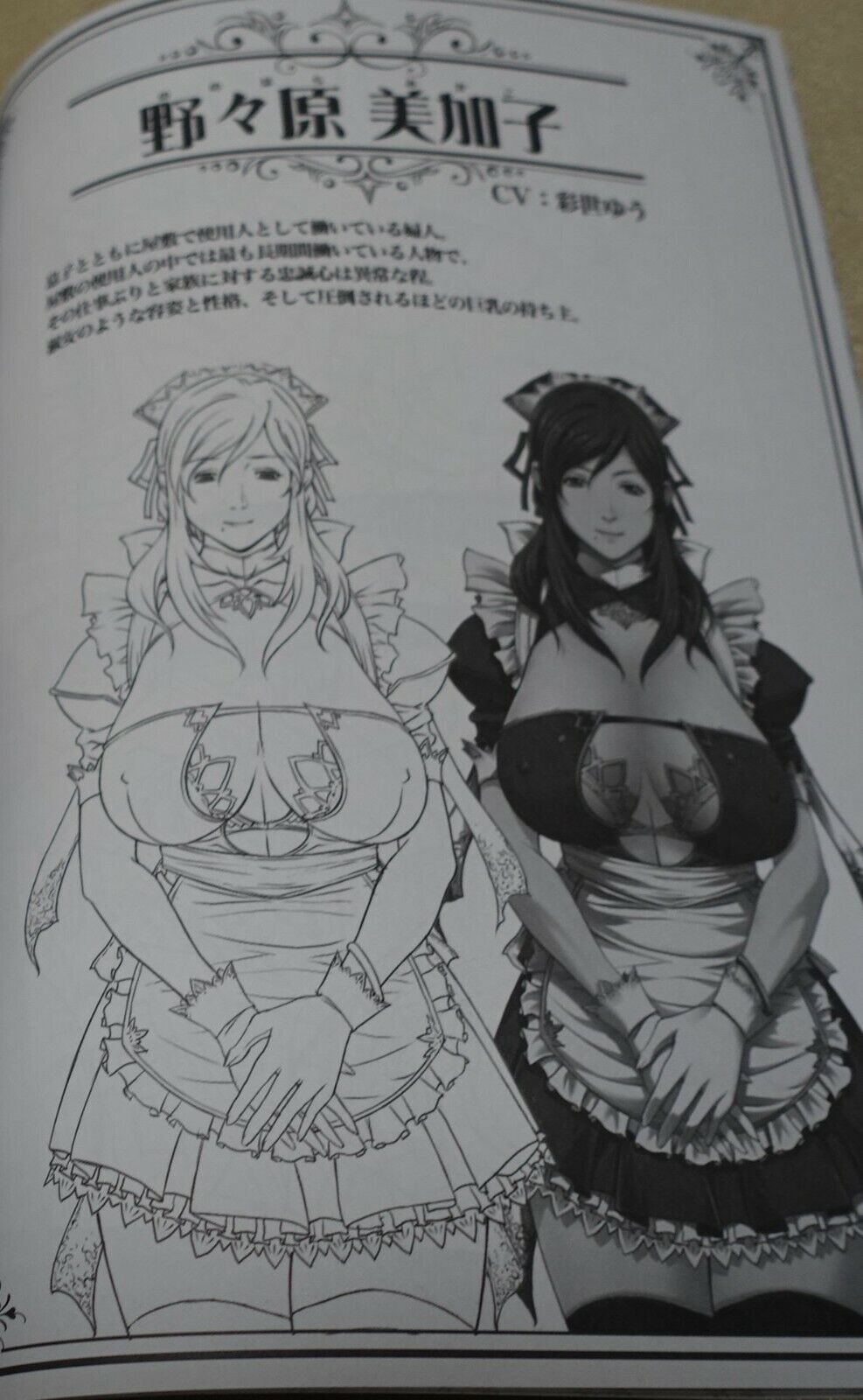 Empress Seishojo STARLESS Line Art Work Book 
