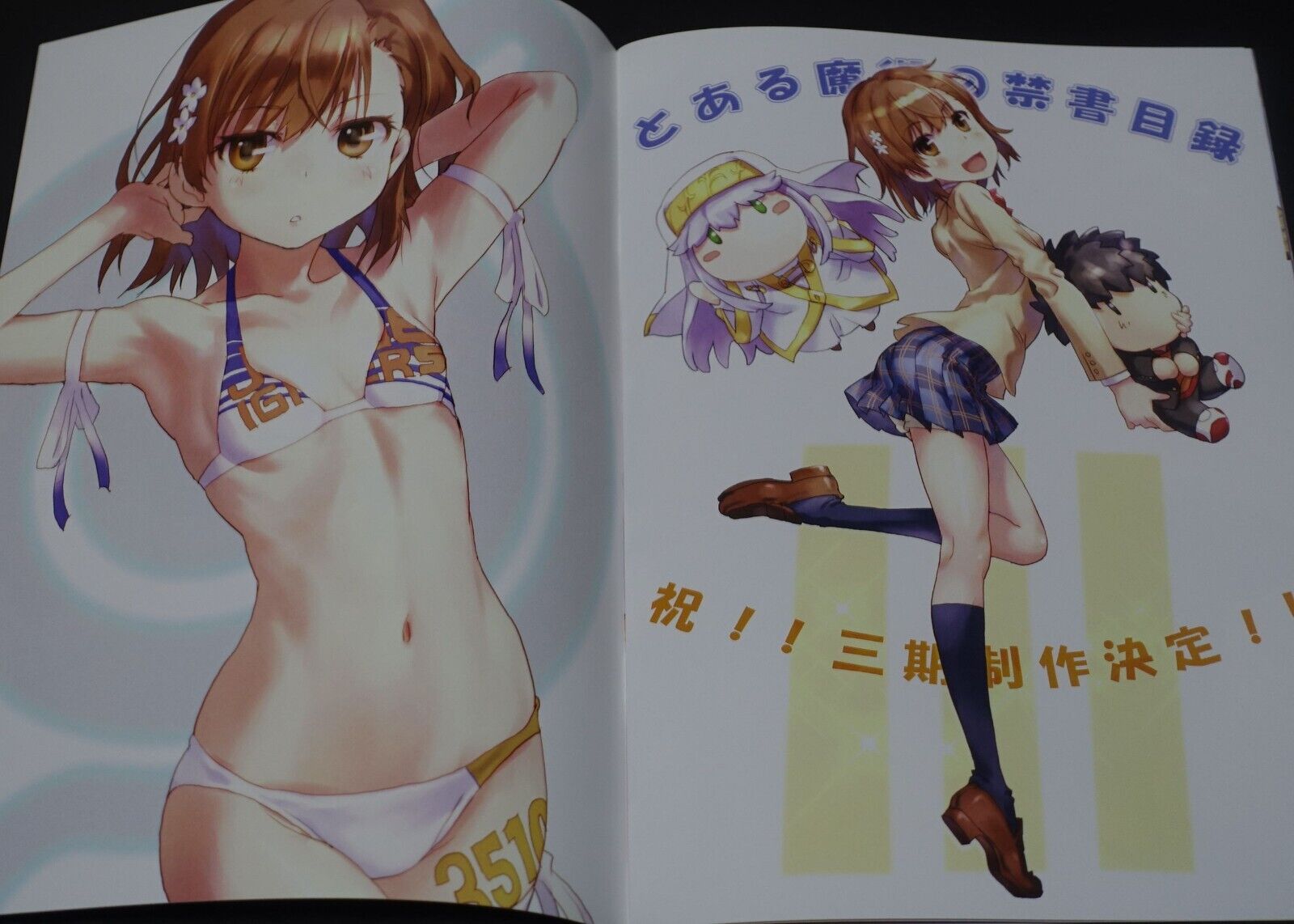 Chillin Party raika9 A Certain Scientific Railgun Misaka Mikoto Fan Art Book 6 