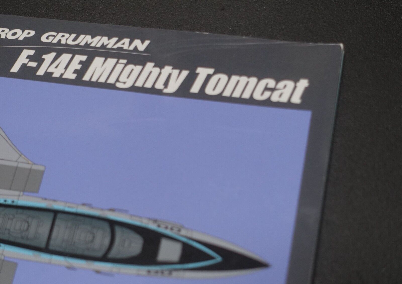 Takeshi Oka Imaginary Fighter Aircraft Art Book F-14E Mighty Tomcat 1/80 Scale 