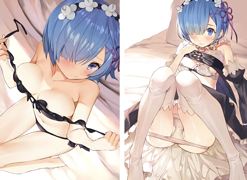 Gaou Re Zero Rem Color Fan Art Book Rakugaki hon with Clear File C98 