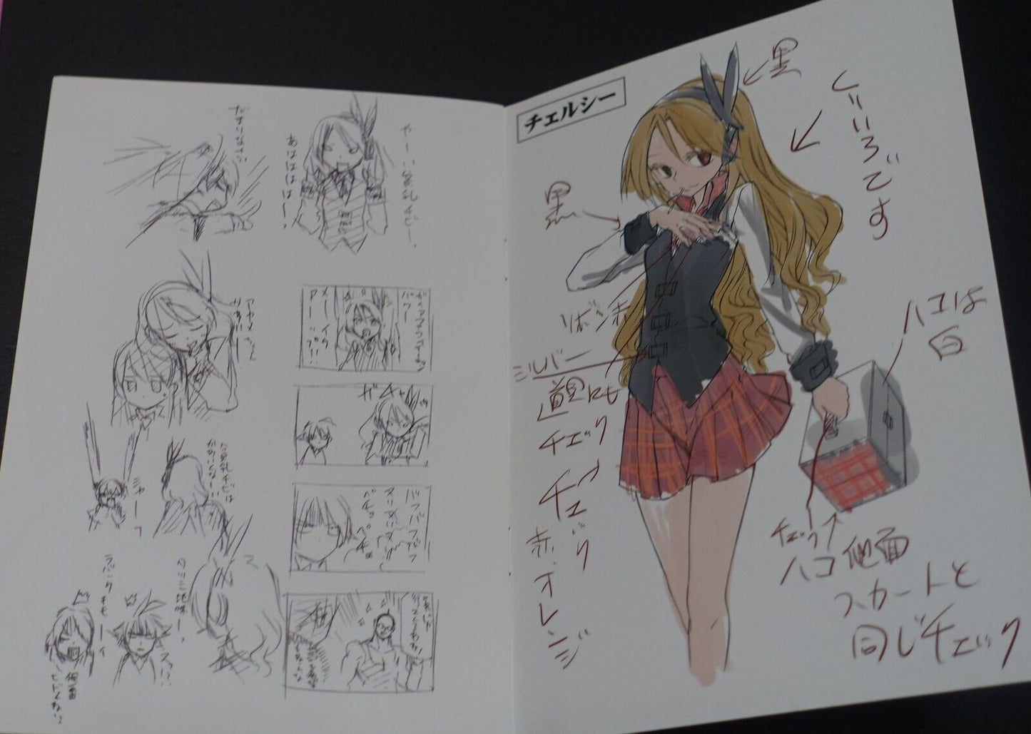 Tetsuya Tashiro Akame ga Kill! Rought Illustration Art Mini Booklet E 8page 