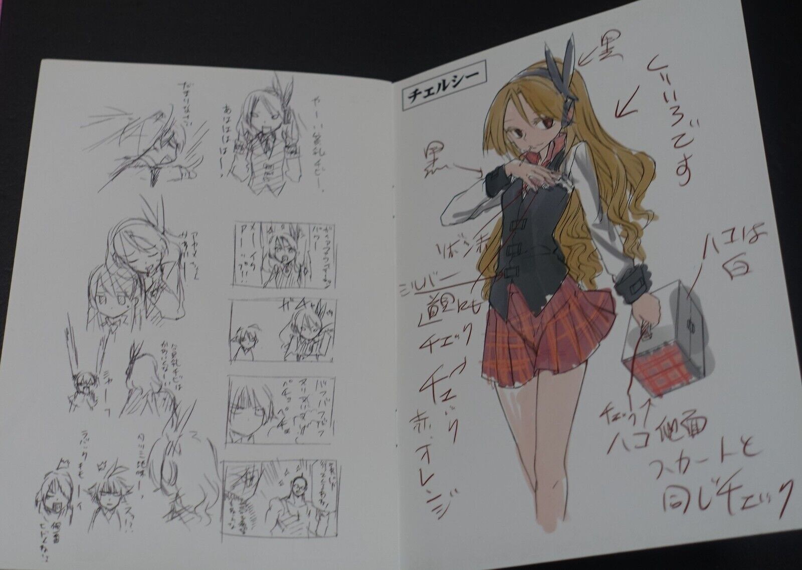 Tetsuya Tashiro Akame ga Kill! Rought Illustration Art Mini Booklet E 8page 