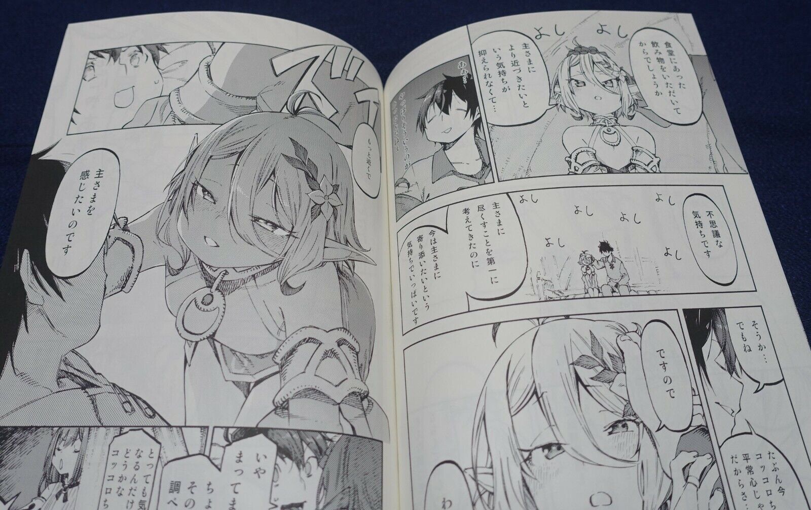Hoshi to Matango Princess Connect! Kokkoro Fan Made Book Kokkoro wo Mederu Hon 