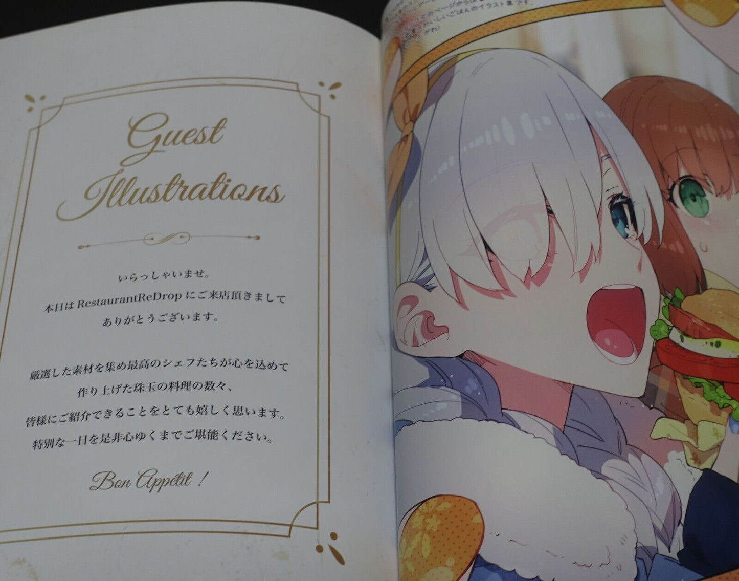 ReDrop Fate Grand Order Color Fan Art Book FGO Servant & Delicious Cuisine 