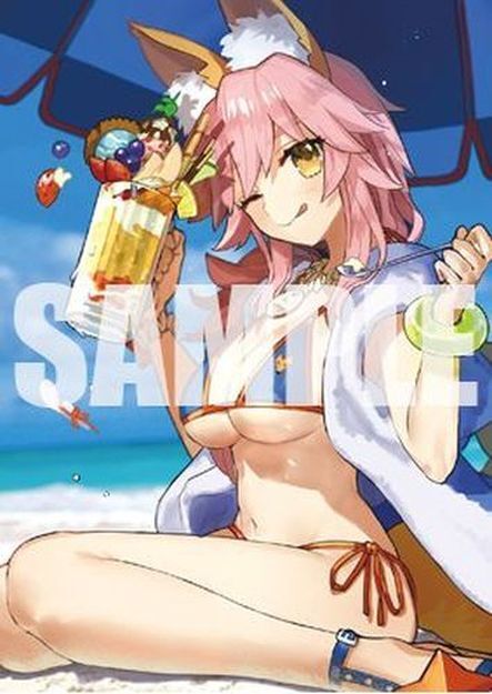 Type-Moon Fate Grand Order Tapestry No.9 B2 Size Tamamo no Mae Lancer FGO C92 