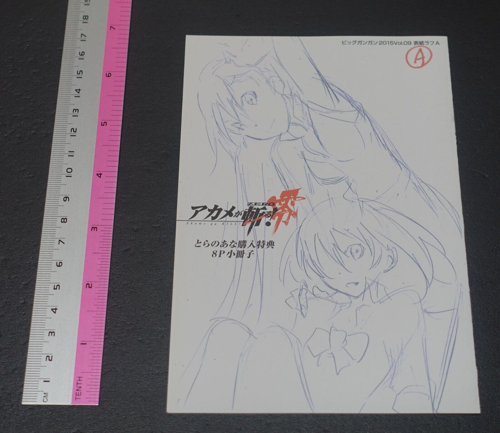 Akame ga Kill! Zero Rough Illustration Art Mini Booklet A 8page 