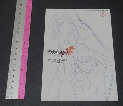 Akame ga Kill! Zero Rough Illustration Art Mini Booklet A 8page 