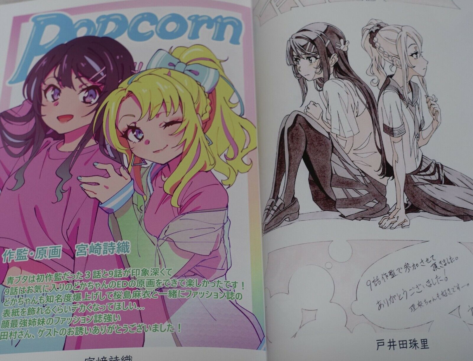 C99 Rascal Does Not Dream of Bunny Girl Senpai Animation Staffs Illustration Art 