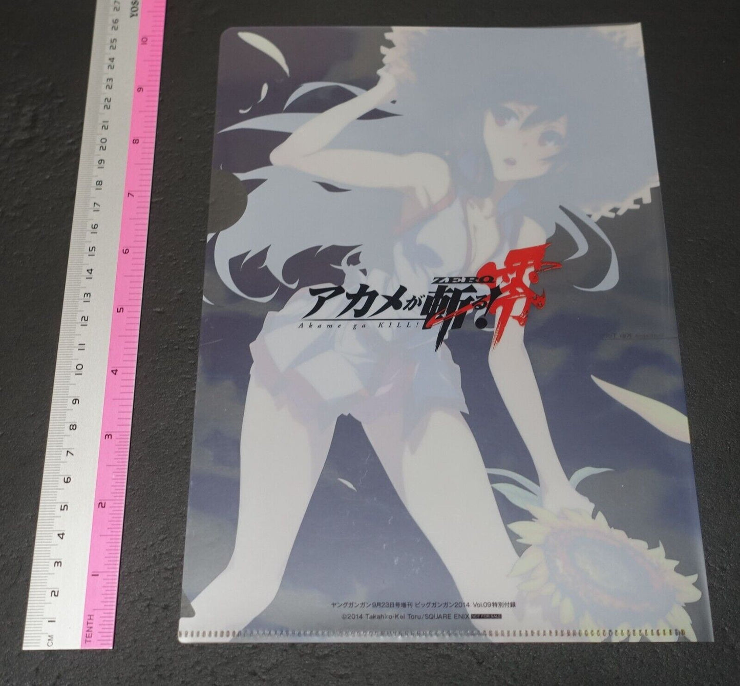 Akame ga Kill! Zero Akame PVC Art Sheet Clear File 