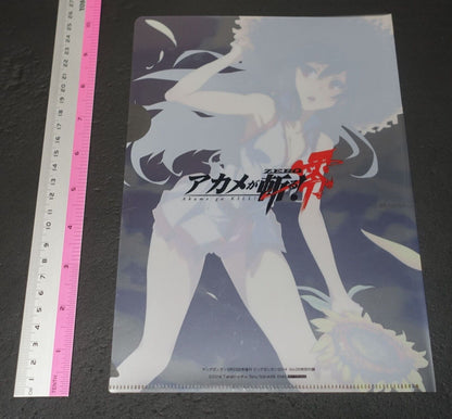 Akame ga Kill! Zero Akame PVC Art Sheet Clear File 