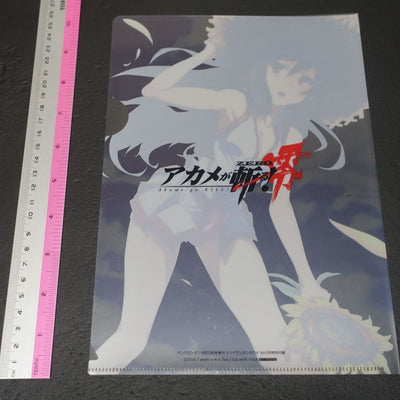 Akame ga Kill! Zero Akame PVC Art Sheet Clear File 