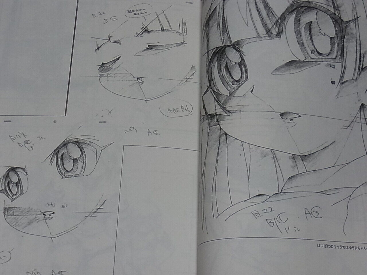 Shingo Fujii Key Frame art work Book Pretty Cure etc ANIME FUURAIBO 2016 SUMMER 