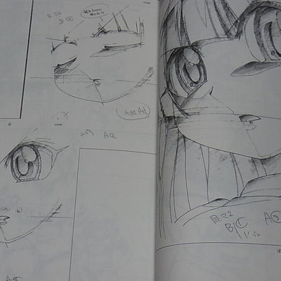 Shingo Fujii Key Frame art work Book Pretty Cure etc ANIME FUURAIBO 2016 SUMMER 
