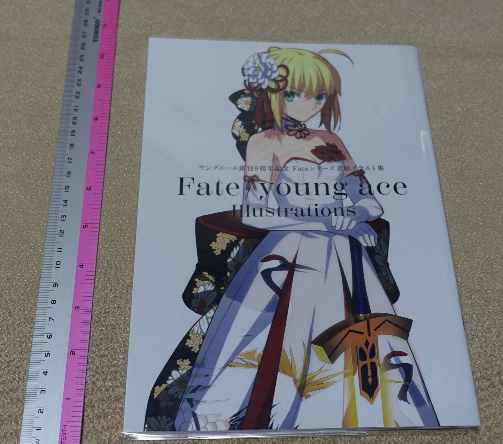 TYPE-Moon Fate young ace Illustrations Color Art Book 
