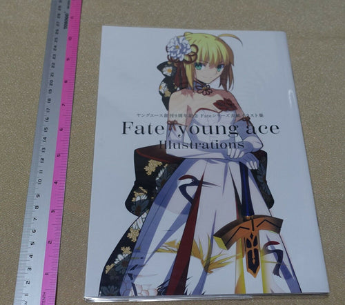 TYPE-Moon Fate young ace Illustrations Color Art Book 