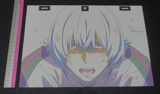 SSSS.DYNAZENON GRIDMAN Reproduction Key Frame Art Sheet Koyomi 