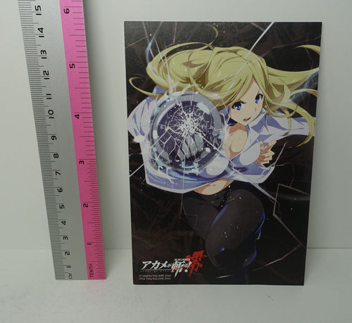 Akame ga Kill! ZERO e-Wondergoo Privilege Art Post Card Cornelia 