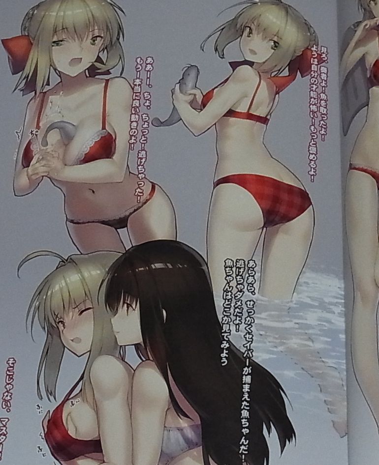 Ritsuki Fate FGO Color Illustration Fan Art Book FATE SUNSHINE C93 