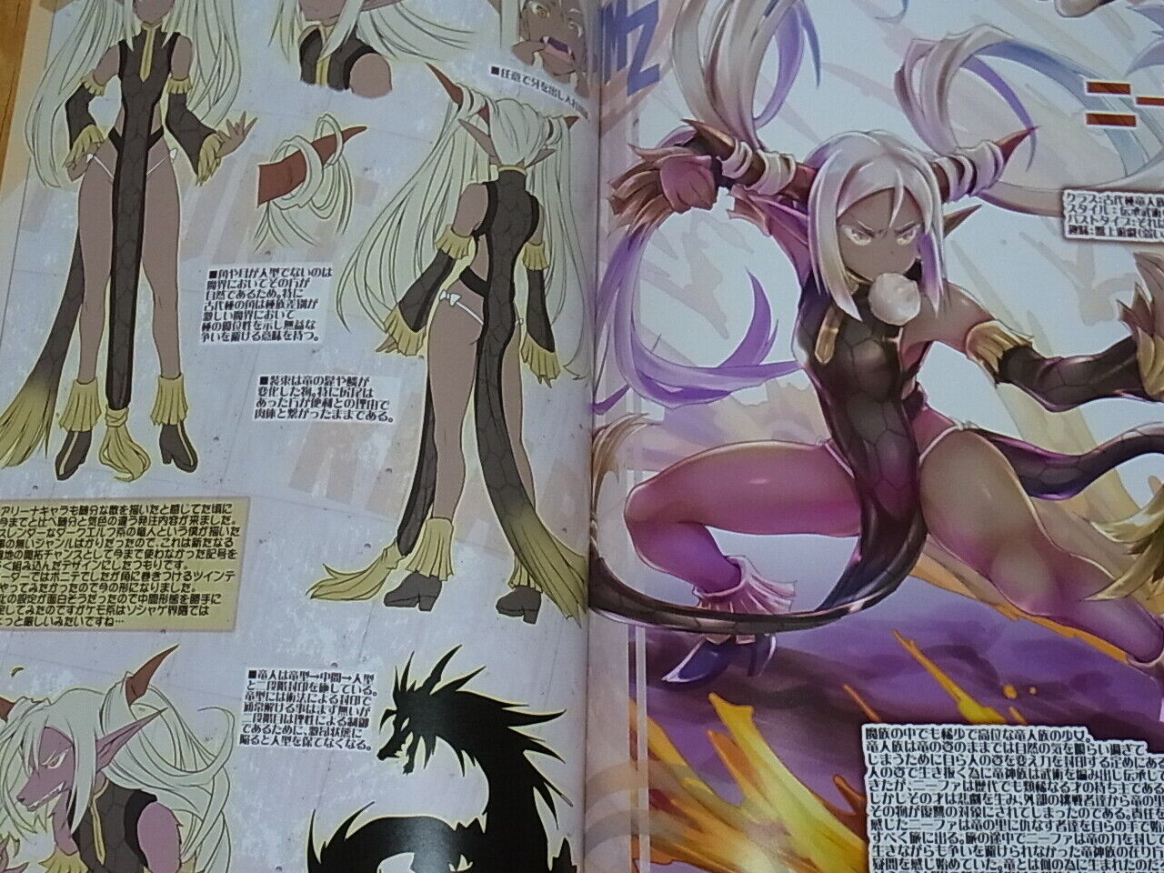 ASAHI-IZM Taimanin Asagi Arena Character Setting Art Book 