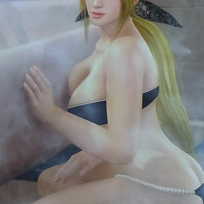 Dead Or Alive Xtreme 3 B2 Bath Room POSTER 9 Complete Set Xtreme3 