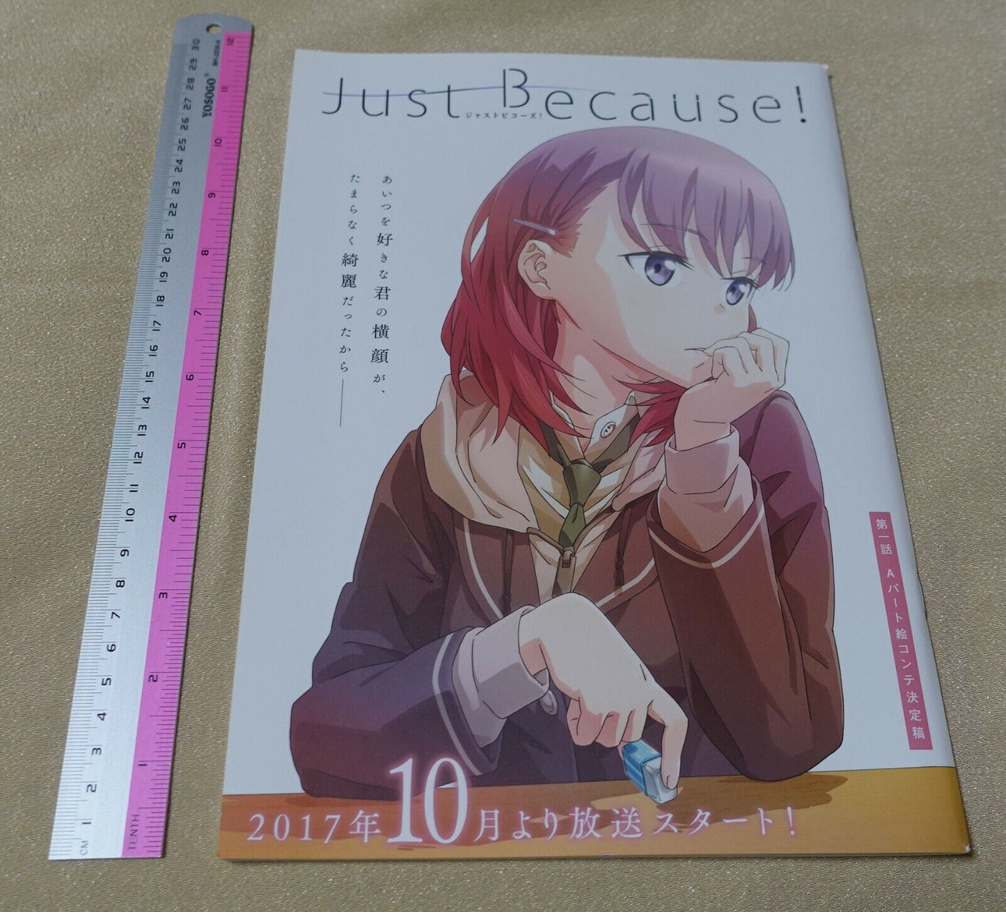 Animation Just Because! Ep01 Story Board Art Book 