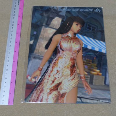Dead or Alive 4 PVC Reversible Art Board Leifang & Christie 