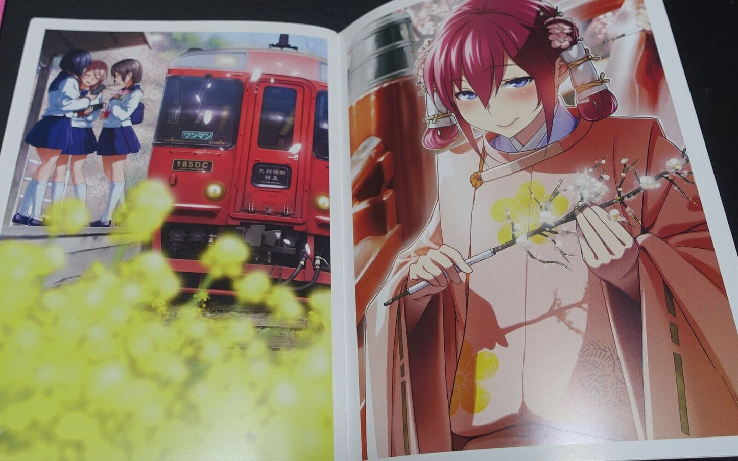Hakatanmon Railwars! Color Fan Art Book Hakatanmon Rail Wars 