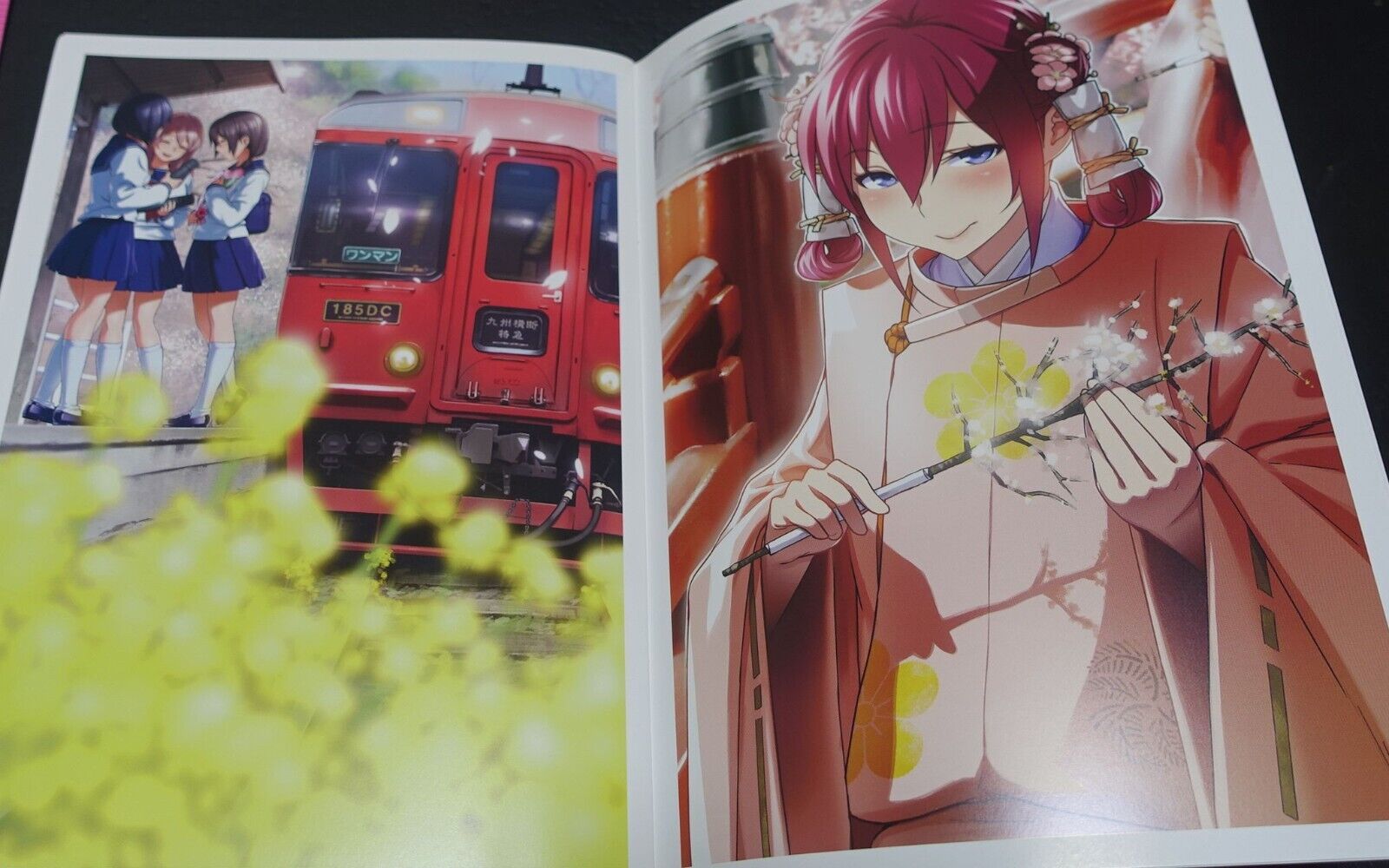 Hakatanmon Railwars! Color Fan Art Book Hakatanmon Rail Wars 