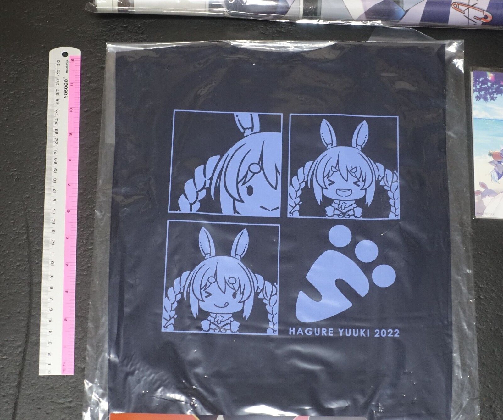 WIREFRAME Yuuki Hagure Usada Pekora Designer's Art Book & Goods Set C101 