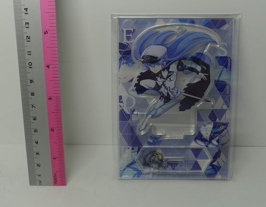 Akame ga Kill! Esdeath Acrylic Stand Figure Key Chain 