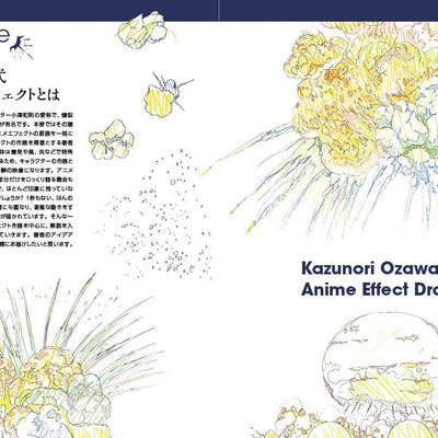 Kazunori Ozawa Ozakazushiki Collection of Original Animation Effects 