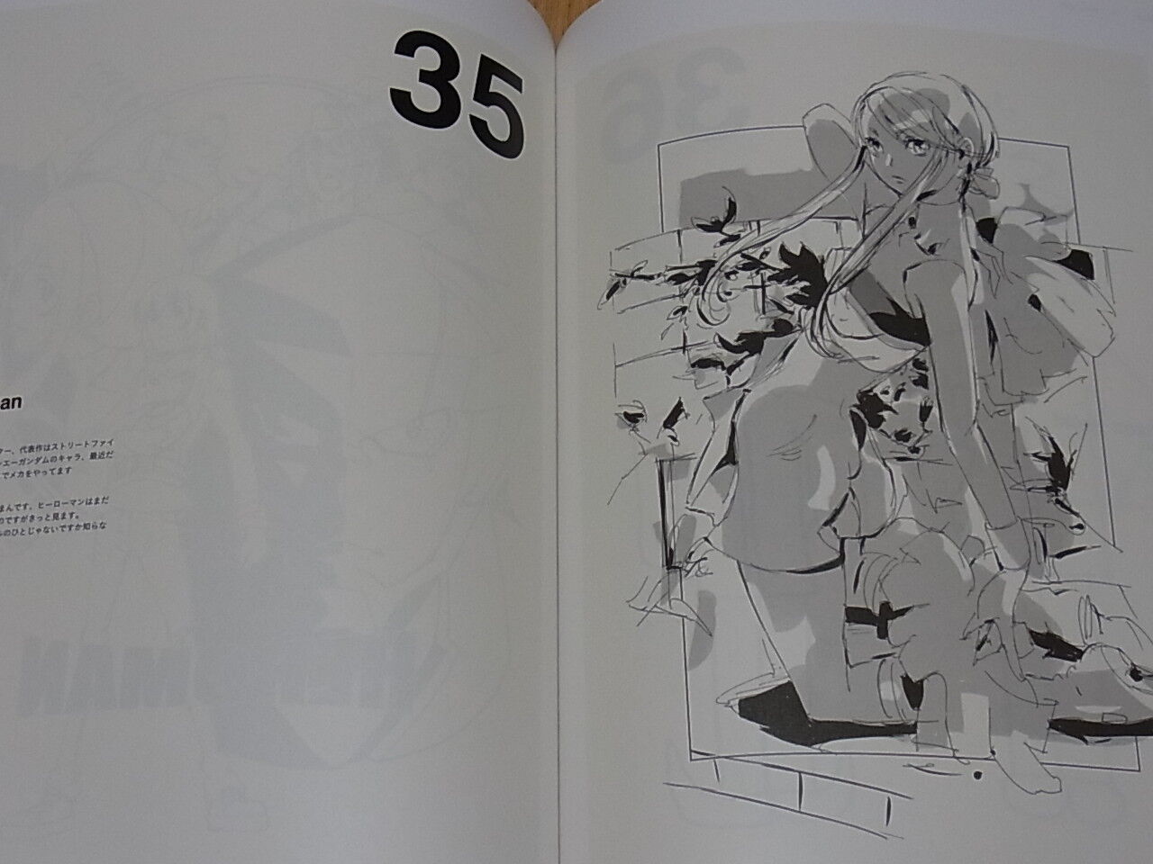 Shigeto Koyama & Animation Illustrators HEROMAN Tribute Art O SPARK 190page 