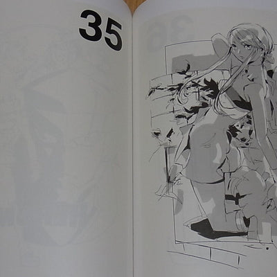 Shigeto Koyama & Animation Illustrators HEROMAN Tribute Art O SPARK 190page 