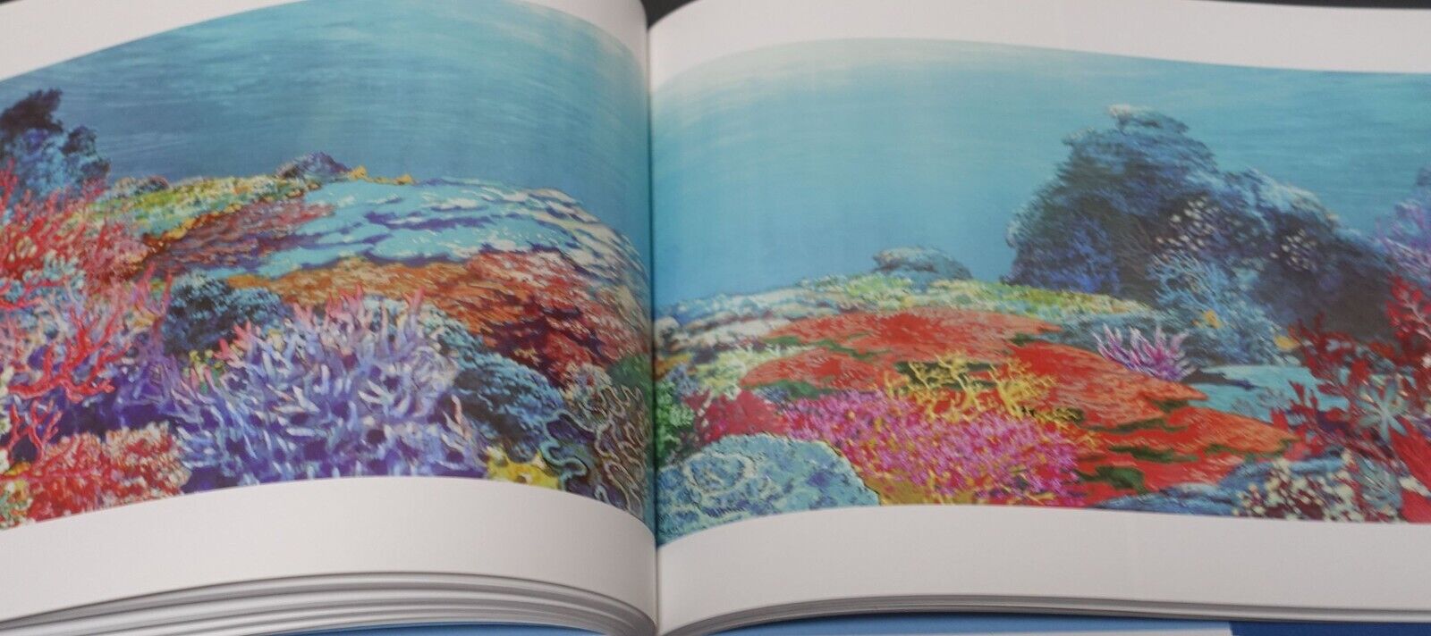 Children of the Sea Kaijyuu no Kodomo Animation Movie Background Art Book 