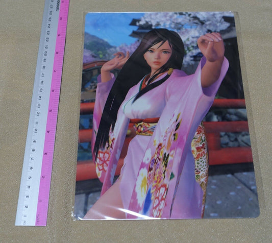 Dead or Alive 4 PVC Art Board Kokoro 