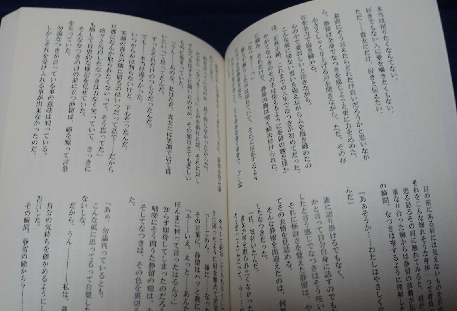 Enryu Sakuya Mai-Hime Natsuki&Shizuru Fan Made Novel Book Set Hitozuma Shizuru 