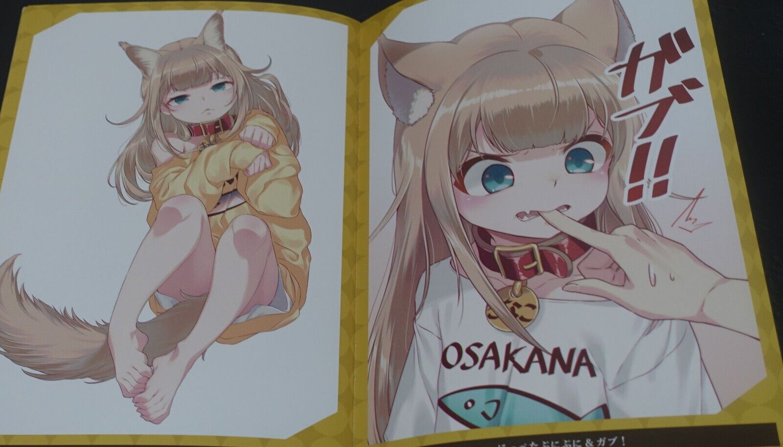 Animal Machine My Cat is a Kawaii Girl Color Art Book KINAKO ART WORK 