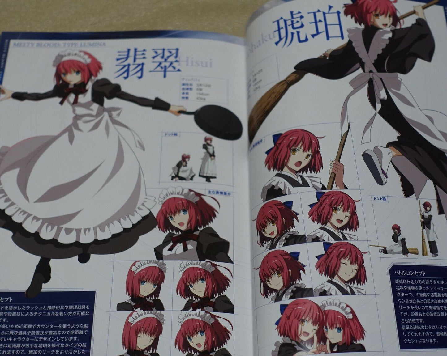 MELTY BLOOD setting & history book MELTY BLOOD DOKUHON 