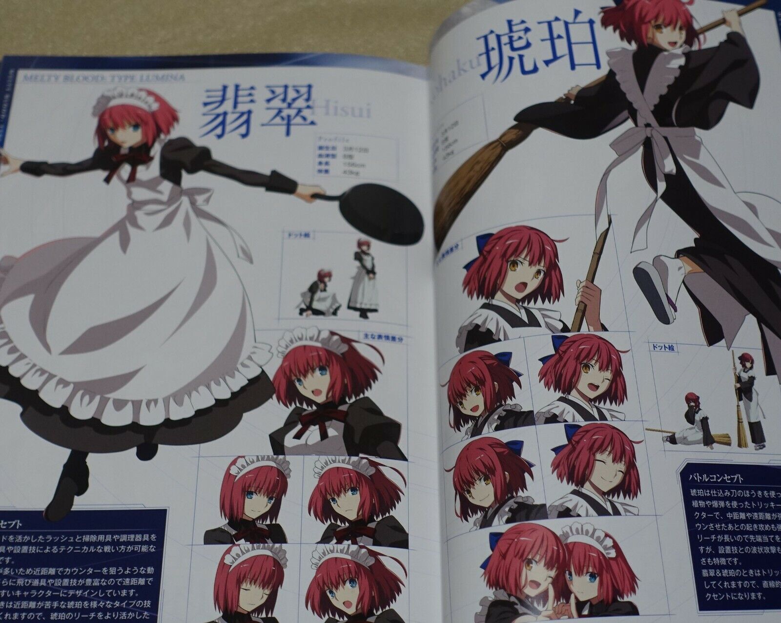 MELTY BLOOD setting & history book MELTY BLOOD DOKUHON 