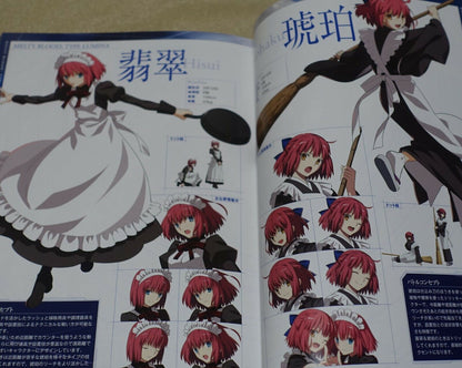 MELTY BLOOD setting & history book MELTY BLOOD DOKUHON 