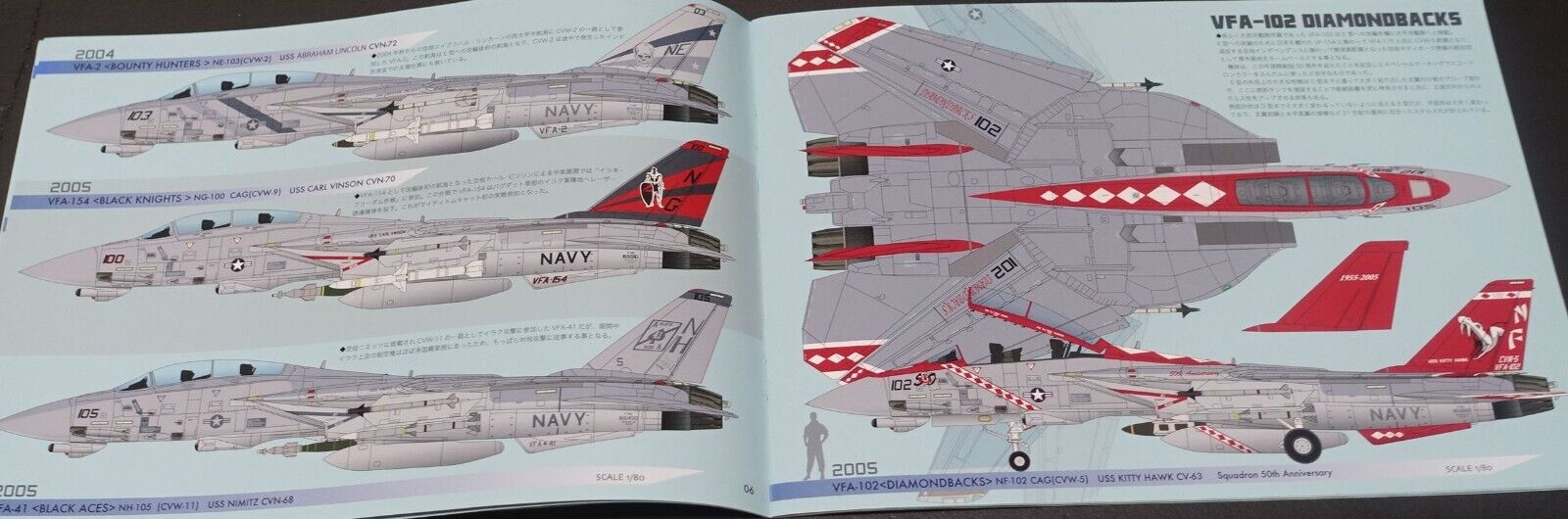 Takeshi Oka Imaginary Fighter Aircraft Art Book F-14E Mighty Tomcat 1/80 Scale 