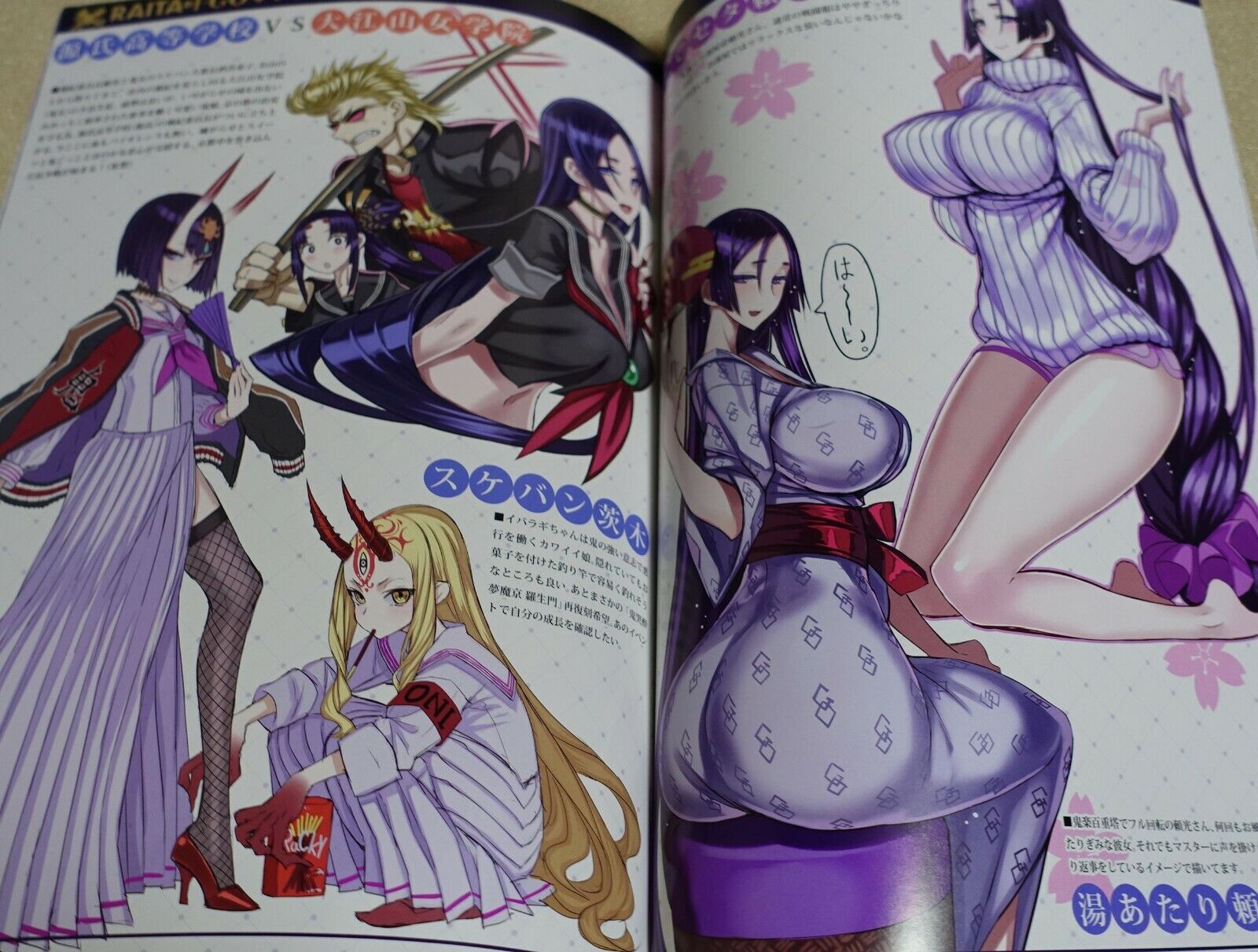 Honjou Raita Fate FGO Designer's Fan Art Book Rakugaki hon Vol.1-2 set Raikou 