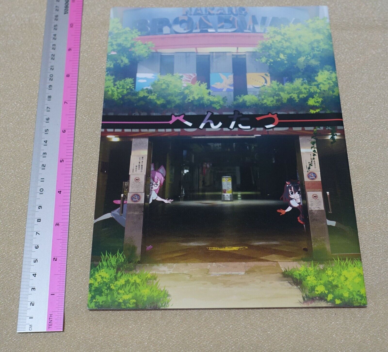 IRODORI Hentatsu Vizual Book 