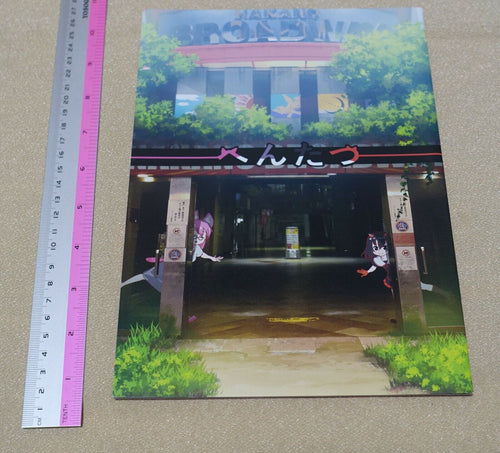 IRODORI Hentatsu Vizual Book 