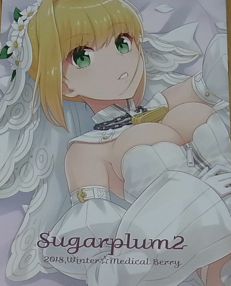 ha-ru Fate FGO Servant Color Fan Art Book Sugarplum2 