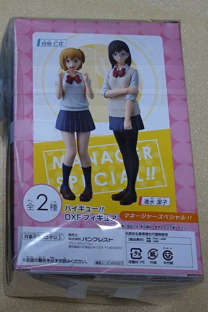 Kiyoko Shimizu & Hitoka Yachi DXF Figure Manager Special!! 