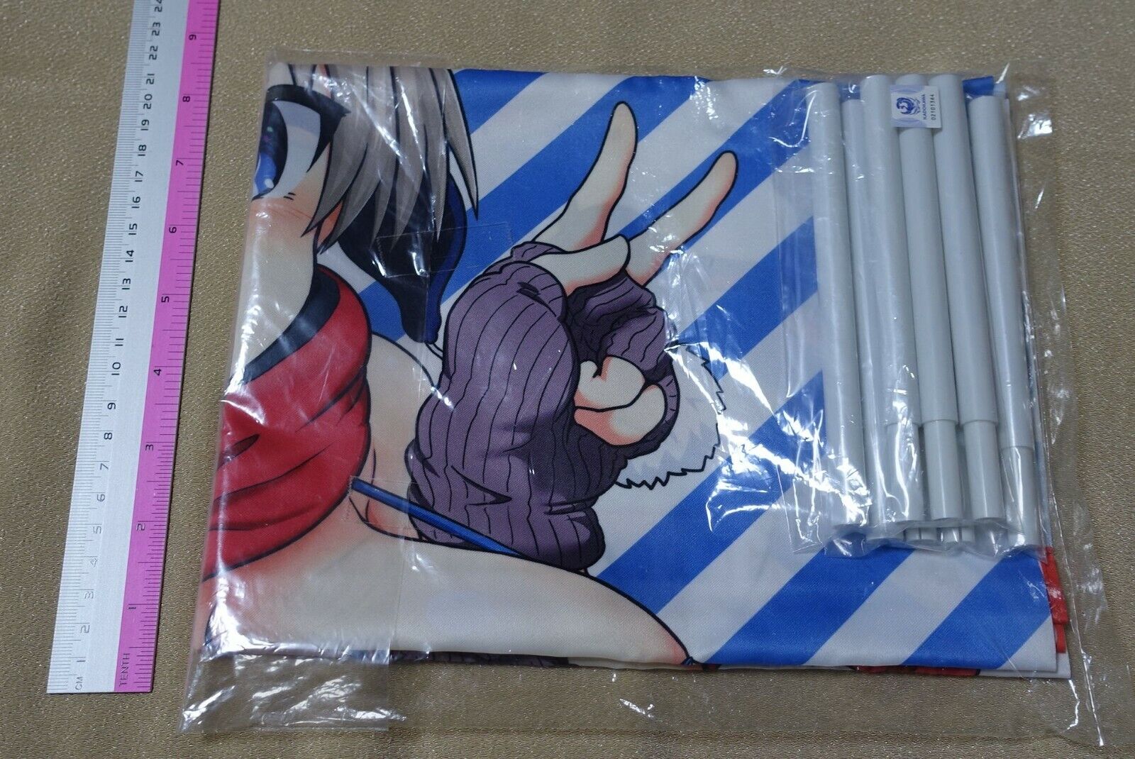 Uzaki-chan Wants to Hang Out! Asobitai 72 x 51 cm Tapestry Winter Bikini Uzaki 
